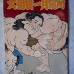 本－８５６古書 書籍 大相撲一月場所 1997年01月